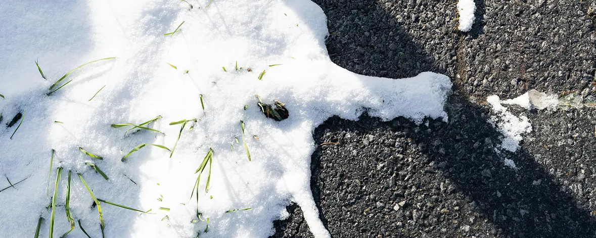 The Fairfield Countys Freeze Thaw Survival Guide